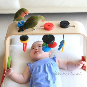 11325197_1603764649878325_1827967174_n