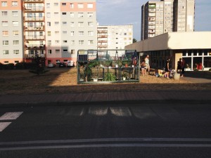 kwiaciarnia rafiki 2