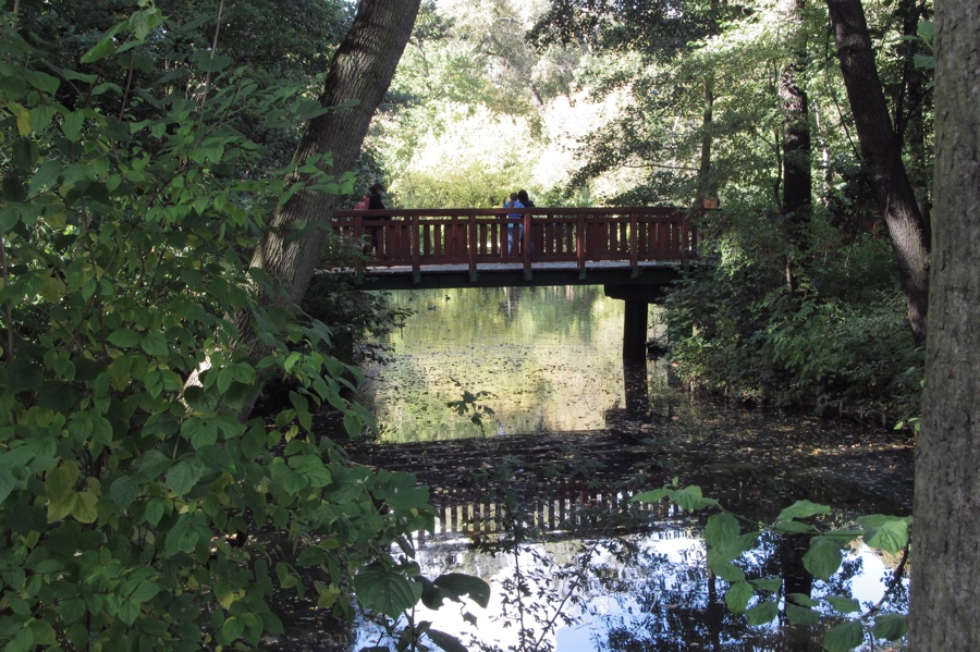 Park_Solacki