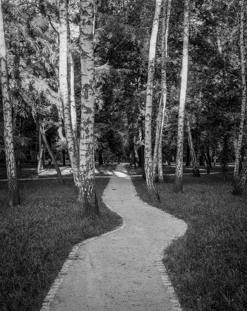 Park zdrojowy. Miejsce spacerów sanitariuszy