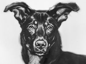 1400_-o_1apq51u611p7j7f51b2jo249a1g