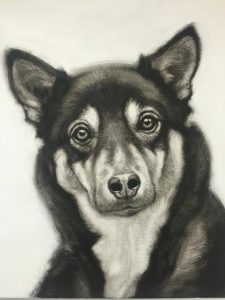 14164135_10205362402494625_1207875943_o