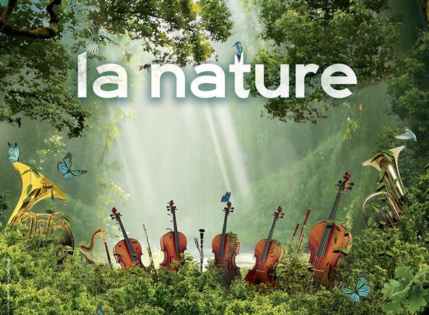 natura, muzyka klasyczna, szalone dni muzyki