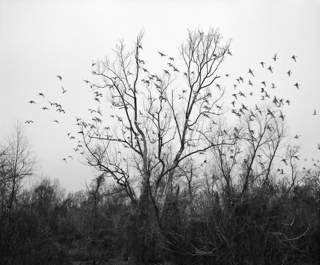 Vanessa Winship