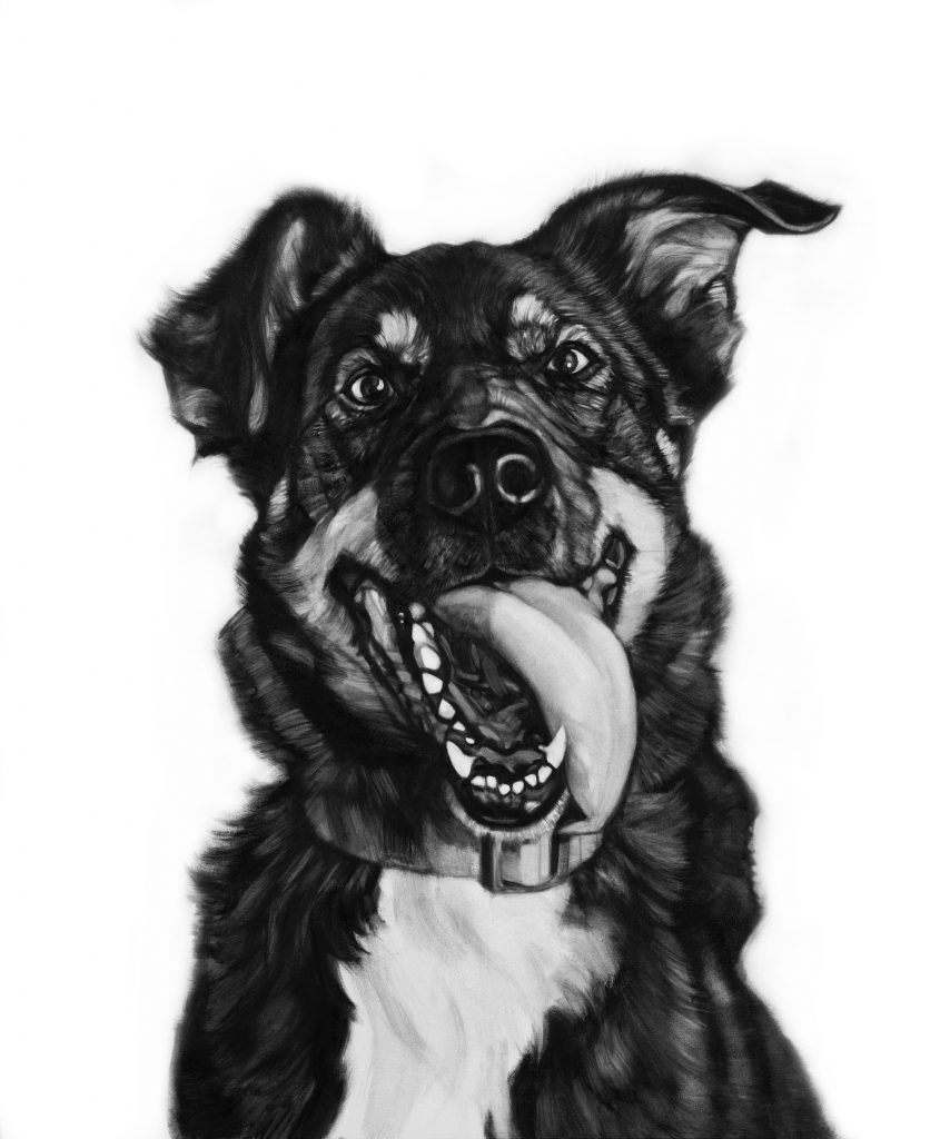 Michal Torzecki WIN:WIN