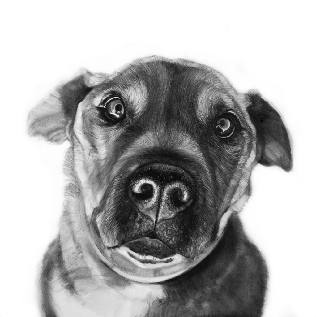 Michal Torzecki WIN:WIN