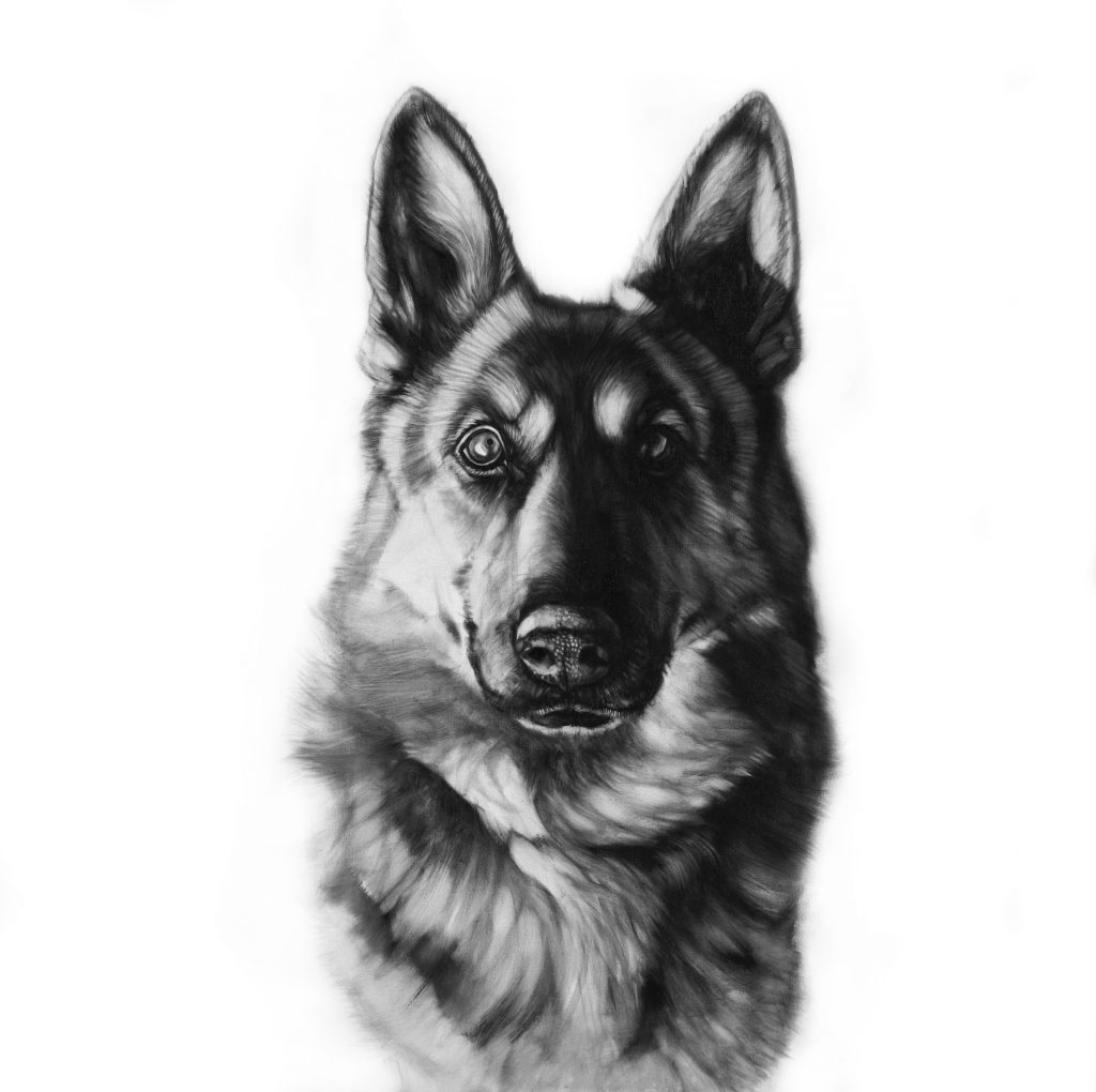 Michal Torzecki WIN:WIN