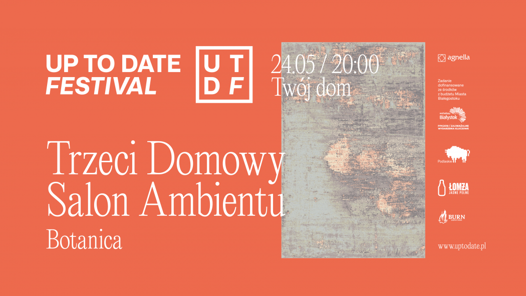 domowy salon ambientu